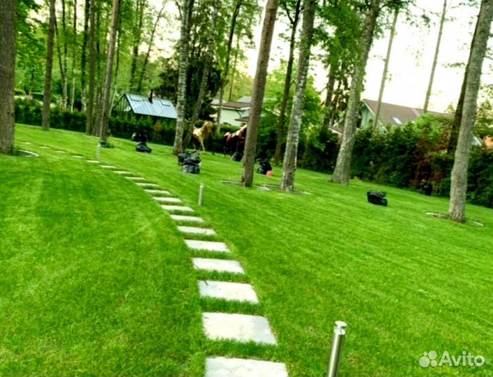 Рулонный газон 