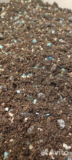 Рыхлый грунт для автополива и ароидных