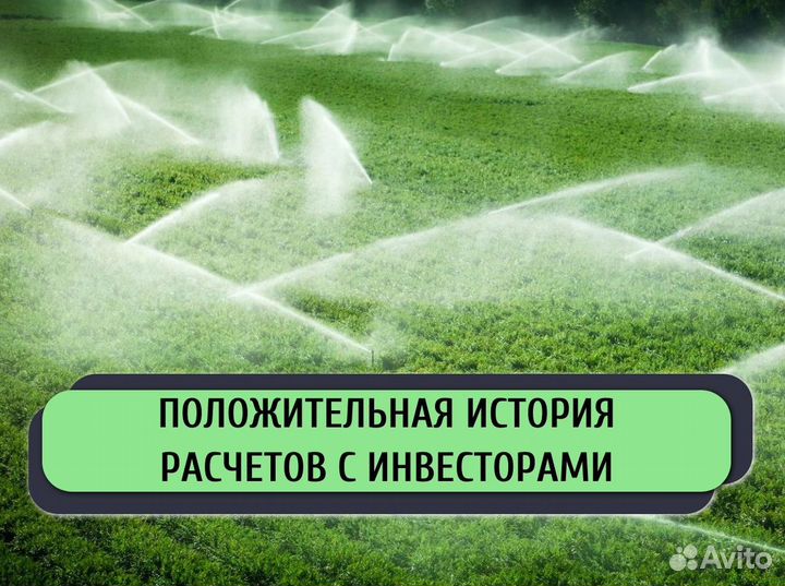 Привлекаем инвестиции