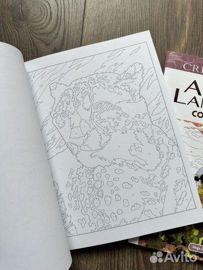 Раскраски по номерам creative haven