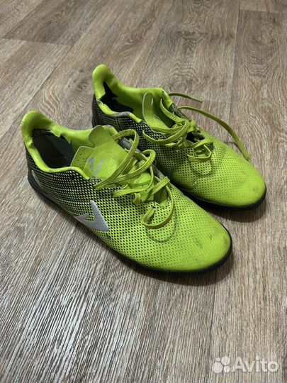 Сороконожки