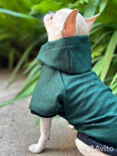 Футболка для собак