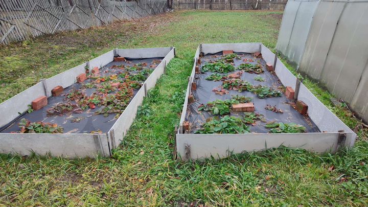 Дом 35 м² на участке 21 сот.