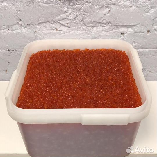 Икра красная 2023 Камчатка