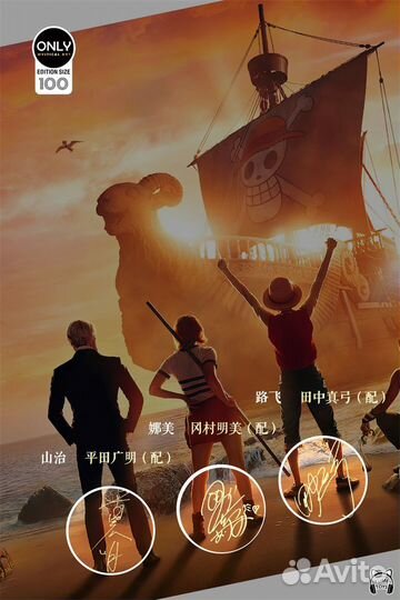 Straw Hat Pirates - One Piece