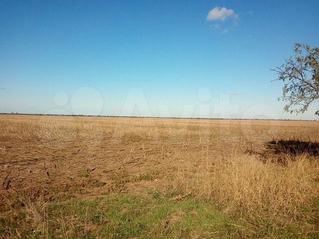 Участок 100 сот. (СНТ, ДНП)