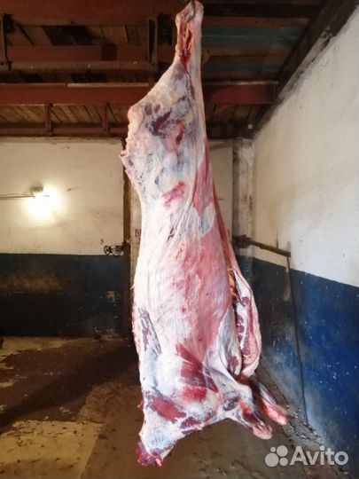 Телятина мраморная