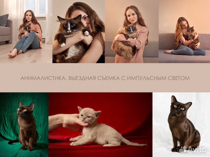 Фотограф-ретушер животных и людей
