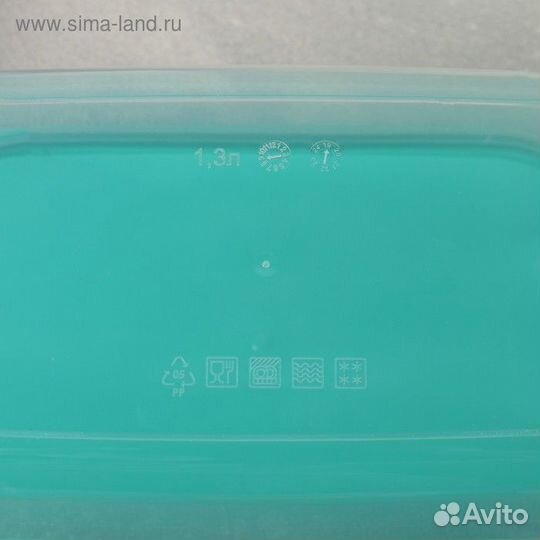 Набор пищевых контейнеров «Радуга», 5 шт: 250 мл