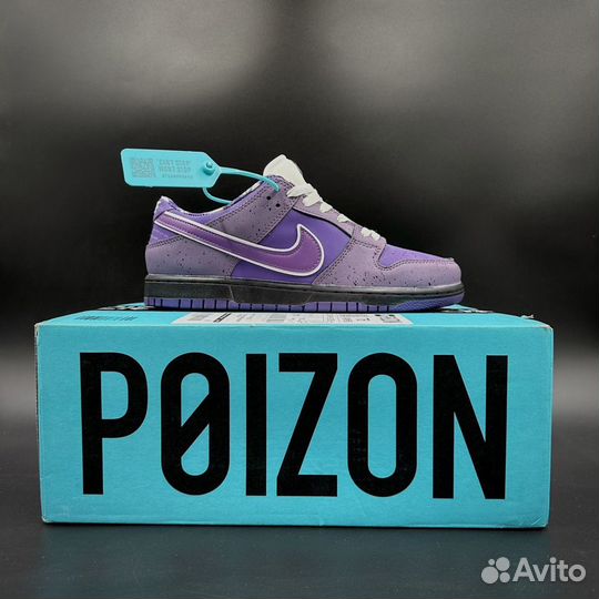 Кроссовки Nike sb dunk low purple lobster