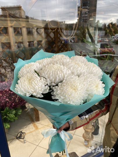 Букет из 11 крымских хризантем