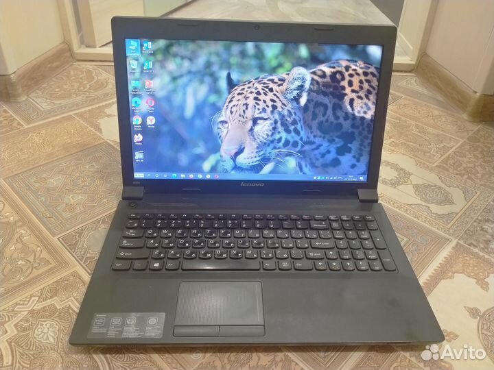 Ноутбук для дома и офиса