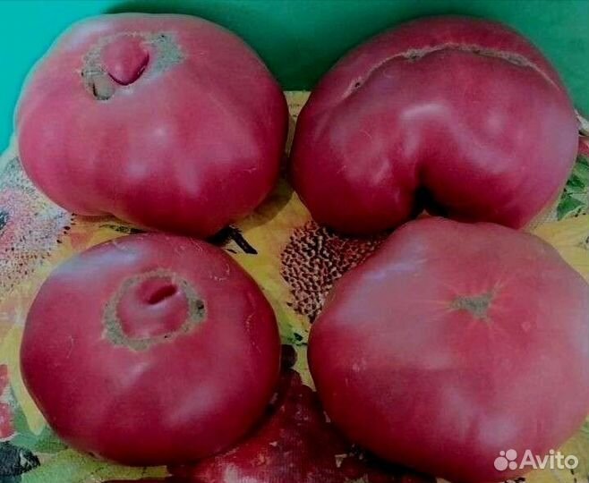 Семена розовых помидор старинный сорт из Кубани