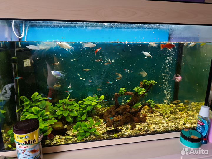 Аквариум
