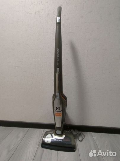 Пылесос Electrolux ergorapido