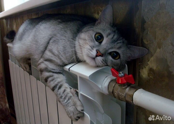 Сантехник сварщик