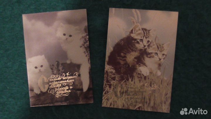 Открытки с кошками и собаками