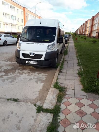 Пассажирские перевозки