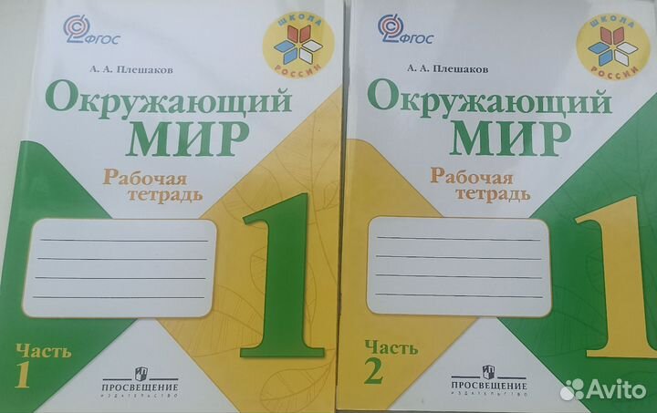 Рабочая тетрадь по окружающему миру 1 класс