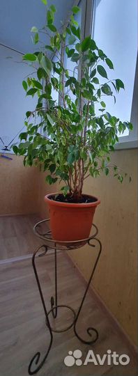 Кованная подставка для цветов