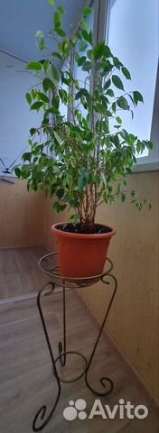 Кованная подставка для цветов