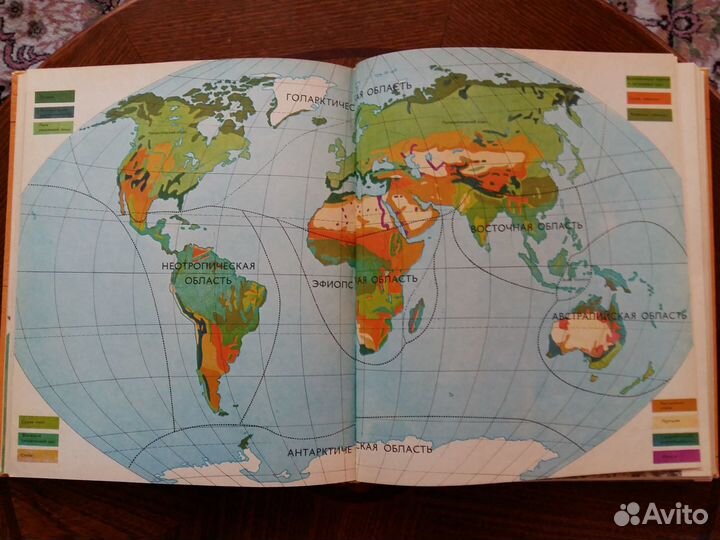 Детская энциклопедия. Всё о рисовании