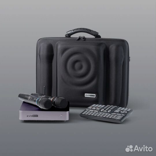 Караоке Evobox Plus графит