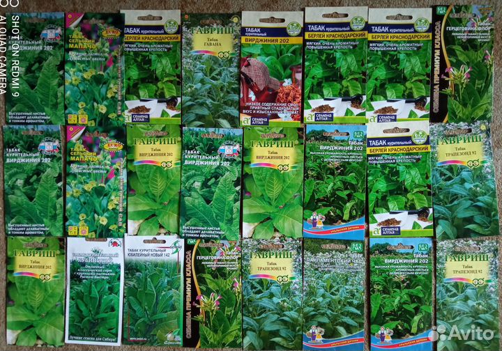 Семена табака