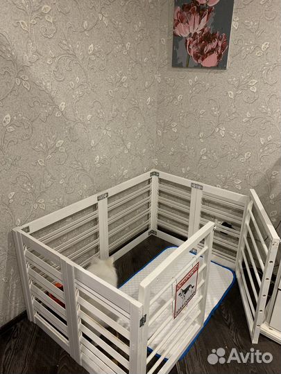 Вольер для собак
