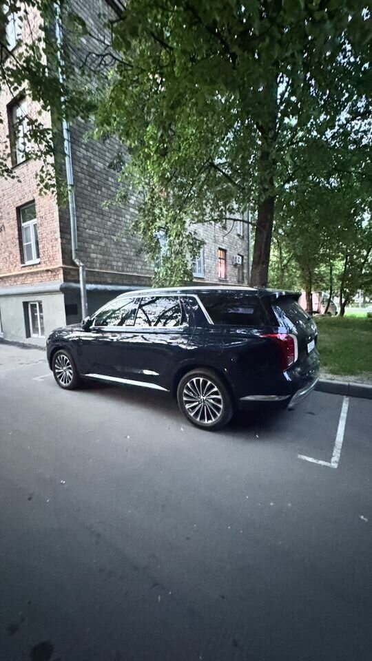 Hyundai Palisade: фото владельца