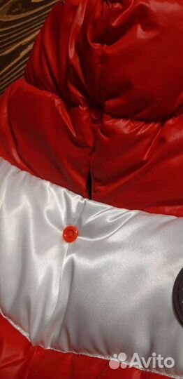 Зимний комбез на французского бульдога