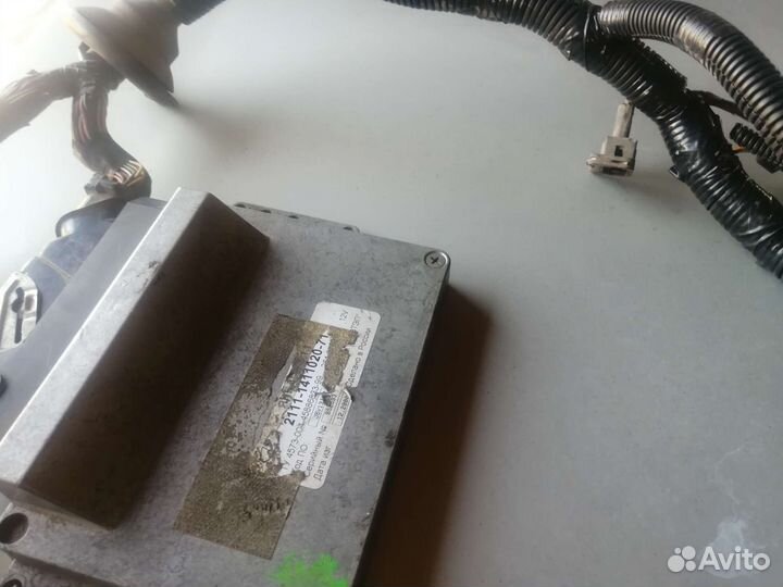 Коса и эбу январь 5.1.1