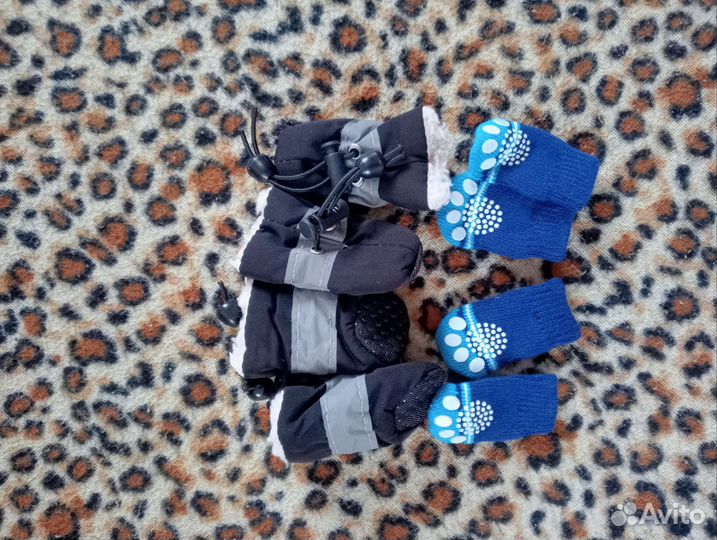 Ботиночки и носочки(на мини той терьера)