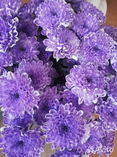 Продавец (в ночь) Цветы