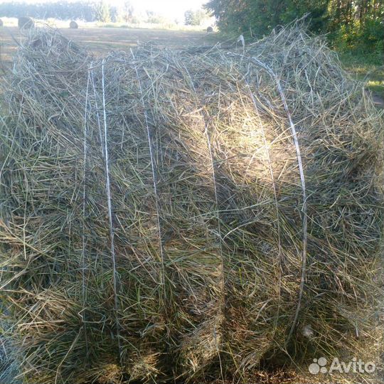 Сено люцерны в рулонах 350-400 кг