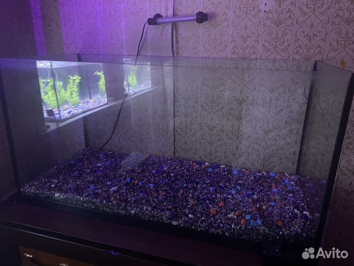 Аквариум с рыбками 120л