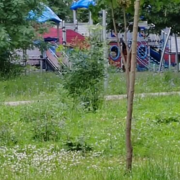 9-к. квартира, 59,7 м², 7/9 эт.