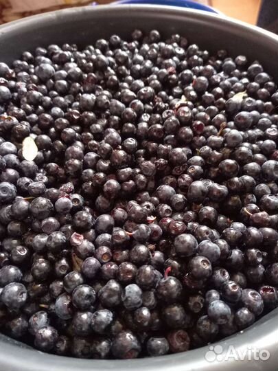 Ягоды черника свежая