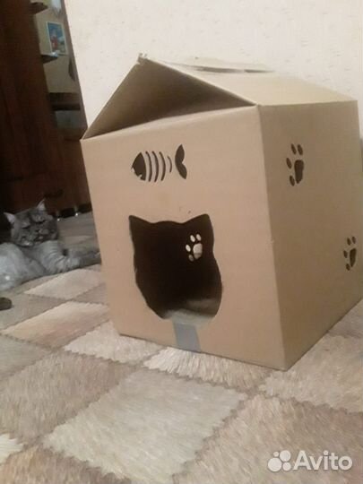 Картонный дом для кота