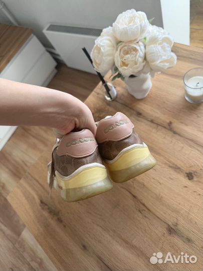 Кеды coach оригинал новые armani tommy