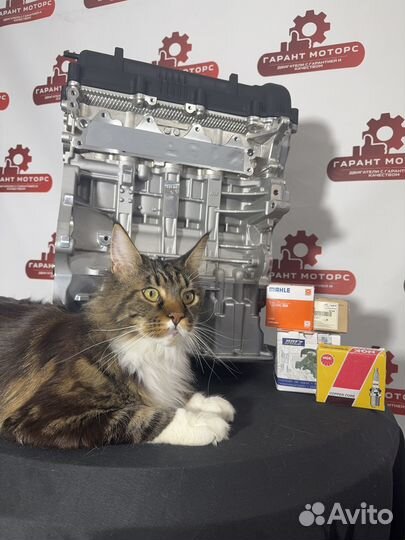 Новый двигатель(мотор)на хендай/киа G4FC,G4FA,G4FG