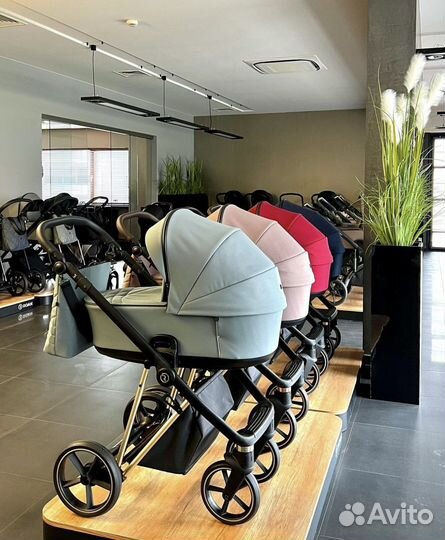 Коляска roan ivi (sol) 2023 на раме золото 2 в 1