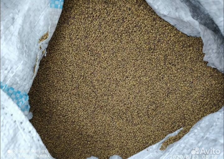 Семена люцерны