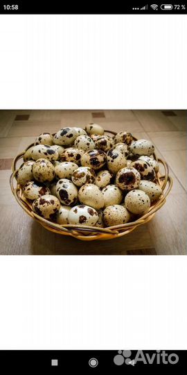 Яйца перепелиные домашние