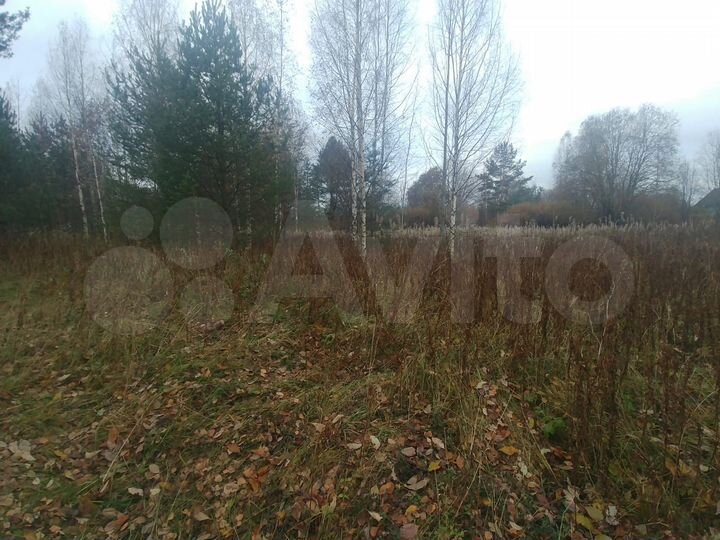 Участок 12 сот. (ИЖС)