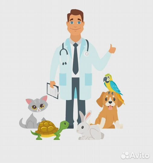 Ветеринарный врач на дом