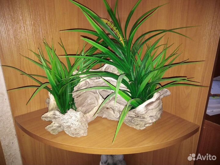 Растения, декор для аквариума