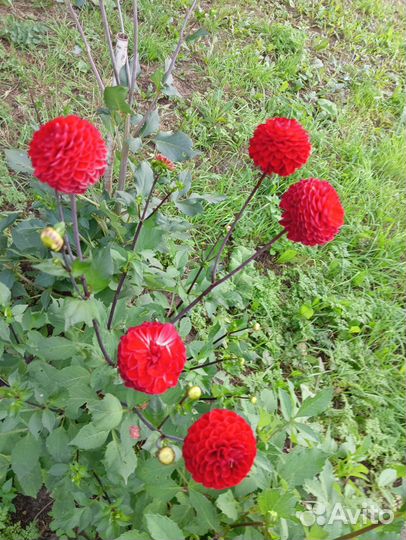 Спортивный зал