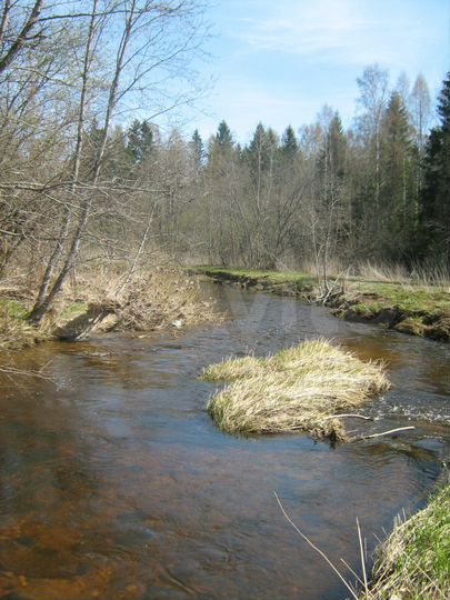 Участок 9,93 га (СНТ, ДНП)