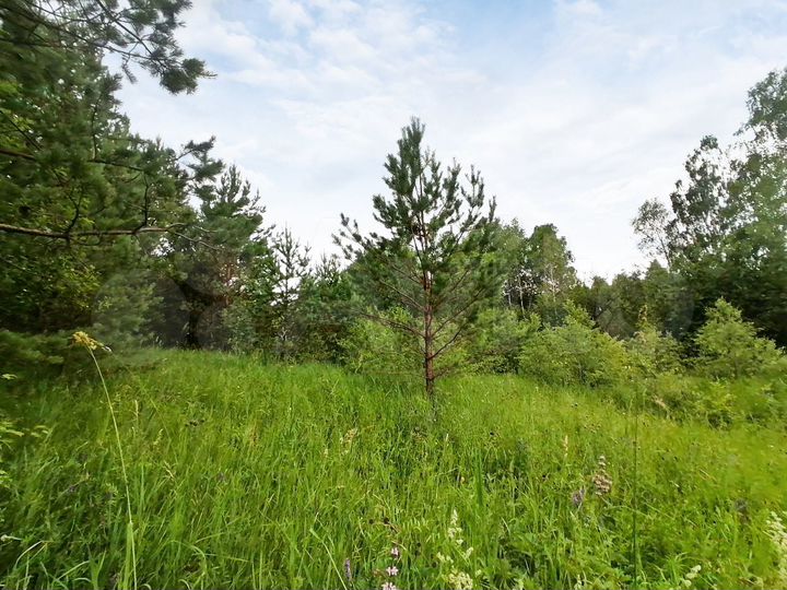 Участок 21,5 сот. (СНТ, ДНП)